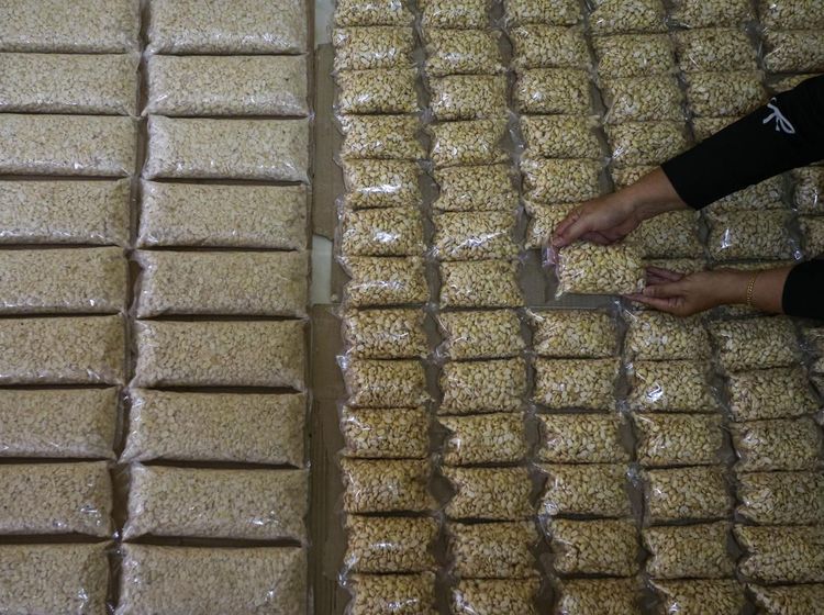 Program MBG Jadi Berkah bagi UMKM Tempe di Pandeglang