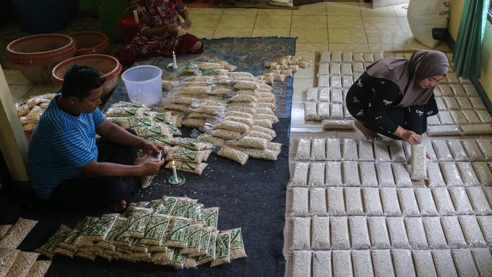 Pekerja mengemas tempe di rumah industri Tempe Badak Bohay, Majasari, Kabupaten Pandeglang, Banten, Senin (20/10/2025). Pemilik usaha mengatakan sejak menjadi penyuplai tempe untuk program Makan Bergizi Gratis (MBG) di wilayahnya, omzet di rumah industri tersebut meningkat dari sekitar Rp12-Rp13 juta per minggu menjadi Rp15 juta per minggunya. ANTARA FOTO/Angga Budhiyanto