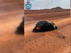 Sampah Antariksa Mendarat di Gurun Australia, Kondisinya Terbakar