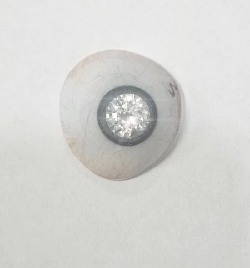 Slater Jones Slater Jones, desainer perhiasan pasang berlian di mata palsu.