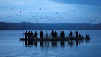Ikan mas hasil tangkapan ditampung dalam wadah besar sebelum dipilah dan dijual ke pasar lokal. REUTERS/David W Cerny