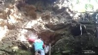 Perjuangan berburu sarang lebah di hutan