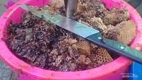 Madu murni dari sarang lebah liar
