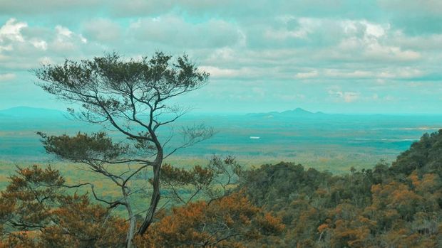 View pemandangan di atas bukit.