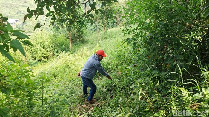 Pilu ABG Ditemukan Nyaris Bugil-Tak Sadarkan Diri di Semak Belukar KBB