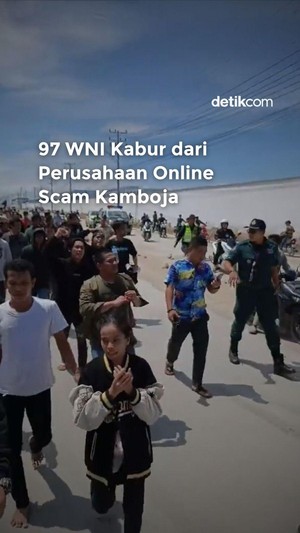 Video 97 WNI Kabur dari Perusahaan Online Scam Kamboja