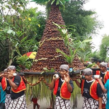 Agrowisata di Bojonegoro