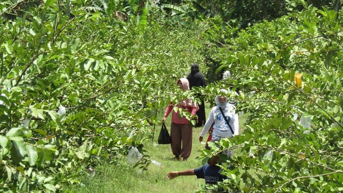Agrowisata di Bojonegoro