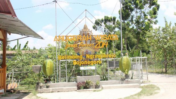 Agrowisata di Bojonegoro