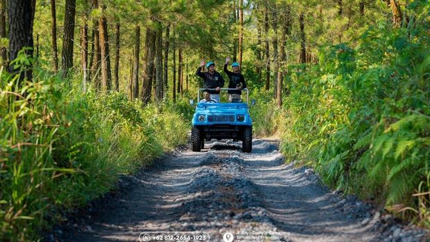 Cafe Pinus Sewu Cafe Pinus Sewu