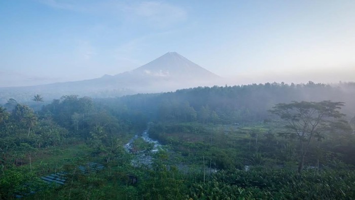Ngopi dengan View Gunung Semeru di Cafe Pinus Sewu Lumajang