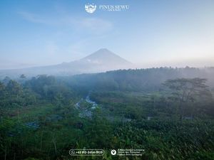 Ngopi dengan View Gunung Semeru di Cafe Pinus Sewu Lumajang