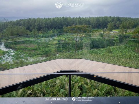 Cafe Pinus Sewu Cafe Pinus Sewu