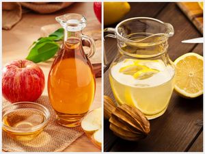 Cuka Apel vs Air Lemon, Mana yang Lebih Bagus Buat Diet?