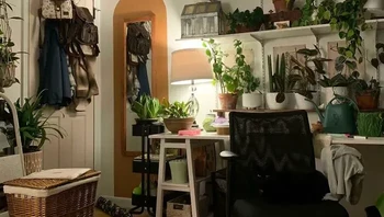 Matanya membuat dia lebih mudah ditemukan. Foto: Internal-Accident-70 via Bored Panda