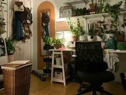 Dapatkah Kamu Menemukan Kumpulan Kucing Jadi Ninja Berikut Ini?