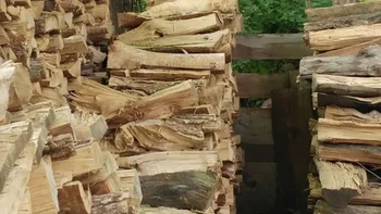 Kamuflasenya bagus. Ada di atas kok dia. Foto: jmankruse via Bored Panda