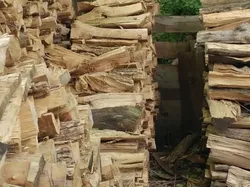 Dapatkah Kamu Menemukan Kumpulan Kucing Jadi Ninja Berikut Ini?