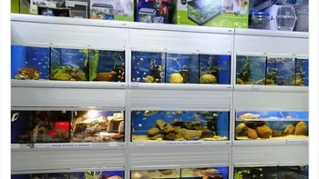 Kenapa di dalam akuarium begitu, sih. Foto: Thereisnocat_via Bored Panda