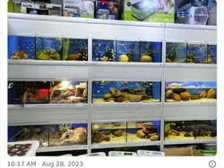 Dapatkah Kamu Menemukan Kumpulan Kucing Jadi Ninja Berikut Ini?