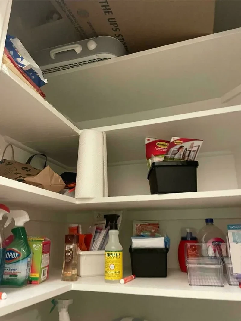 Kalau kamu punya mata yang jeli, coba temukan kumpulan kucing yang sedang bersembunyi di foto-foto berikut. Bisa menemukan berapa banyak?