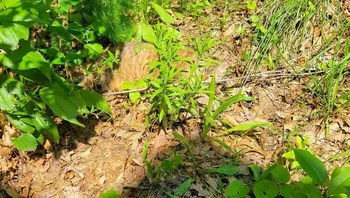 Yooo, hampir terkecoh! Foto: Eve_elle via Bored Panda