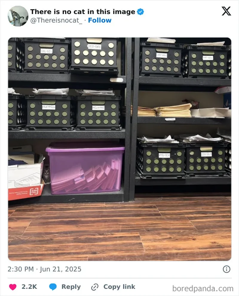 Kalau kamu punya mata yang jeli, coba temukan kumpulan kucing yang sedang bersembunyi di foto-foto berikut. Bisa menemukan berapa banyak?