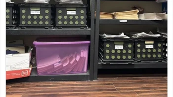 Kecil banget. Foto: Thereisnocat_ via Bored Panda