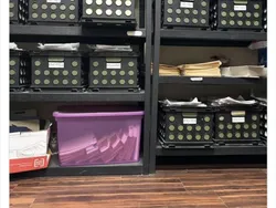 Dapatkah Kamu Menemukan Kumpulan Kucing Jadi Ninja Berikut Ini?