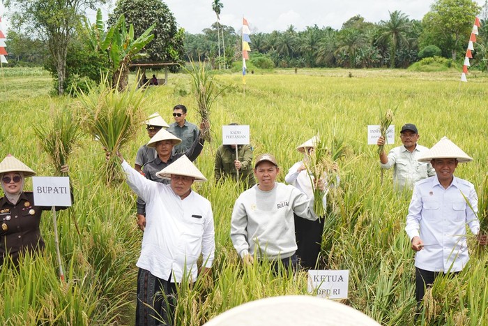 Ketua DPD RI, Sultan B. Najamudin menyerahkan langsung bantuan benih jagung unggul dan alat mesin pertanian (Alsintan) kepada kelompok tani setempat. Hal ini dilakukan saat kunjungannya ke Kecamatan Lubuk Pinang, Kabupaten Mukomuko, Rabu (23/10).