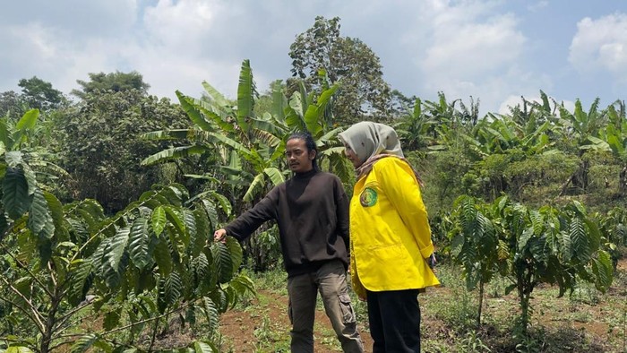 Kopi Sintok Garut