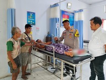 Kisah Butet Bertahan Hidup Lawan 3 Harimau: Kaki Robek-Jalan 2 Jam Cari Bantuan