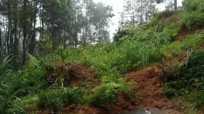 Penampakan jalur Tulungagung-Trenggalek yang tertimbun longsor