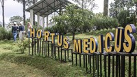 Sekelompok wisatawan tampak berswafoto di depan etalase yang berisi ratusan tumbuhan yang telah diawetkan dan tersusun rapi. Sebagian dari mereka juga tampak serius mengamati tumbuhan yang ada di kebun. Tumbuhan-tumbuhan itu merupakan tanaman obat, koleksi dari UPF Yankestrad Tawangmangu RSUP Dr. Sardjito. Saat itu para turis tengah mengikuti tur wisata medis di objek wisata yang biasa disebut Hortus Medicus. ANTARA FOTO/Maulana Surya