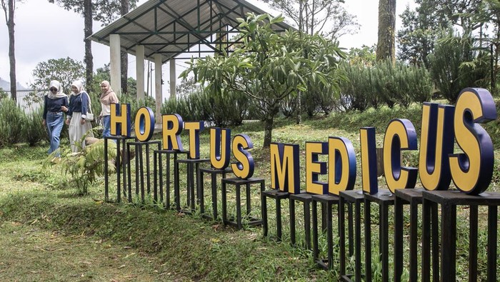 Menjelajahi Surga Tanaman Obat di Lereng Tawangmangu Pegawai farmasi melayani pembuatan resep obat tradisional untuk pasien di Klinik Pratama Hortus Medicus.