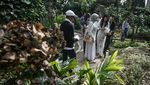 Menjelajahi Surga Tanaman Obat di Lereng Tawangmangu