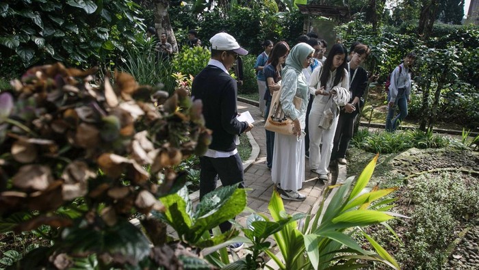 Menjelajahi Surga Tanaman Obat di Lereng Tawangmangu Pegawai farmasi melayani pembuatan resep obat tradisional untuk pasien di Klinik Pratama Hortus Medicus.