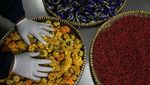 Menjelajahi Surga Tanaman Obat di Lereng Tawangmangu