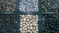 Ketika peristiwa Agresi Militer Belanda I tahun 1947 terjadi blokade obat kimia, bahan baku dan peralatan kesehatan. Kondisi itu menyebabkan Dr. Soetarman memutuskan mendirikan Hortus Medicus di tanah milik R.M Santoso untuk budi daya tanaman obat.  Tanaman yang pertama kali dibudidayakan saat itu adalah tumbuhan digitalis untuk mengobati penyakit jantung, kemudian disusul tanaman kumis kucing dan koka. ANTARA FOTO/Maulana Surya