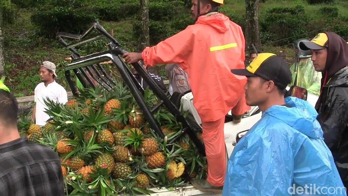 Proses evakuasi korban tertimpa pohon di Nagrog, Ciater, Subang