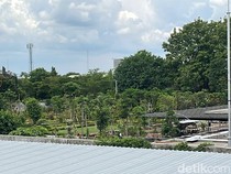 Mengintip Progres Rumah Pensiun Jokowi, Punya Taman Penuh Pohon dan Bunga