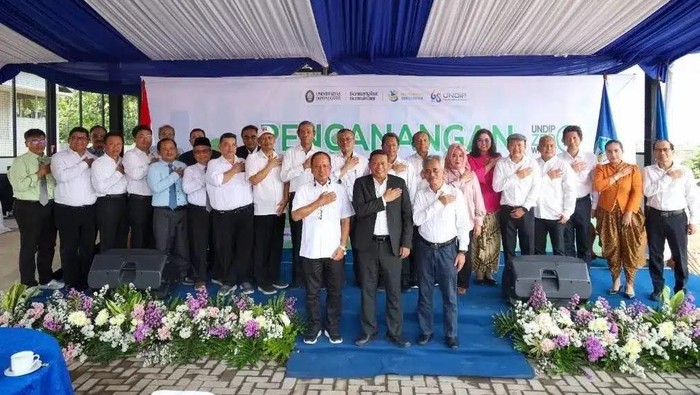 Undip
