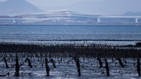 Pembangunan bandara di wilayah yang berdekatan secara geografis dengan Taiwan ini menarik perhatian publik karena letaknya yang sangat dekat dengan garis perbatasan udara antara kedua wilayah. REUTERS/Ann Wang