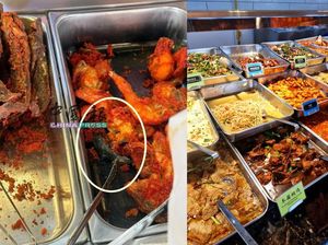 Geger! Tikus Goreng Nyempil bareng Ayam Goreng di Kios Nasi Campur