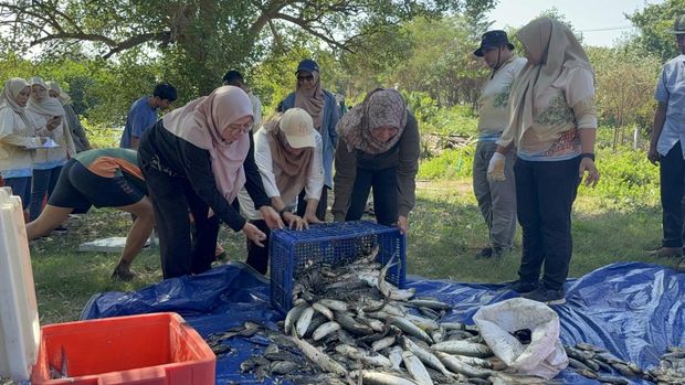 Hasil Silvofishery di Kebun Raya Mangrove Hasil Silvofishery di Kebun Raya Mangrove