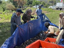 Budidaya Ikan Modern di Surabaya, Ramah Lingkungan dan Menguntungkan!