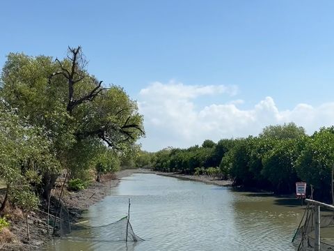 Hasil Silvofishery di Kebun Raya Mangrove Hasil Silvofishery di Kebun Raya Mangrove