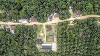 Foto udara kawasan Trans Sosial Suku Batin Sembilan di Muaro Singoan, Batang Hari, Jambi, Rabu (22/10/2025). Kawasan Trans Sosial yang dibangun pemerintah pada tahun 1999 untuk menyediakan ruang hidup bagi warga Suku Batin Sembilan di tengah-tengah hutan lebat Sumatera tersebut kini berubah menjadi kawasan perkebunan kelapa sawit milik perorangan dan beberapa perusahaan. ANTARA FOTO/Wahdi Septiawan Foto udara kawasan Trans Sosial Suku Batin Sembilan di Muaro Singoan, Batang Hari, Jambi, Rabu (22/10/2025). Kawasan Trans Sosial yang dibangun pemerintah pada tahun 1999 untuk menyediakan ruang hidup bagi warga Suku Batin Sembilan di tengah-tengah hutan lebat Sumatera tersebut kini berubah menjadi kawasan perkebunan kelapa sawit milik perorangan dan beberapa perusahaan. ANTARA FOTO/Wahdi Septiawan