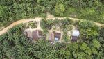 Jejak Suku Batin Sembilan yang Terhimpit Perkebunan Sawit di Jambi