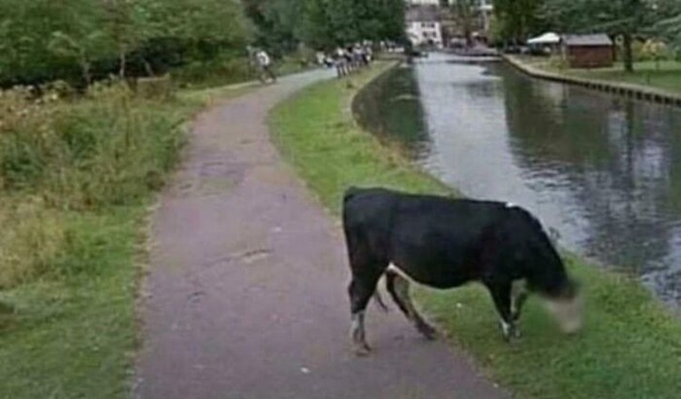 Kejadian Aneh di Google Maps